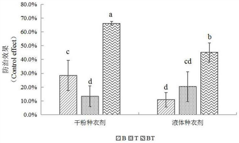 Biological seed coating agent based on trichoderma-bacillus sequential inoculation symbiotic culture fermentation liquor and preparation method thereof