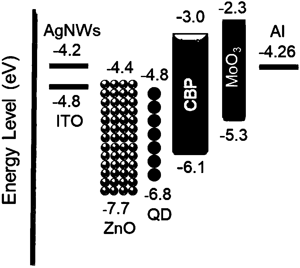 Silver nanowire electrode-based efficient flexible quantum dot light-emitting diode and preparation thereof