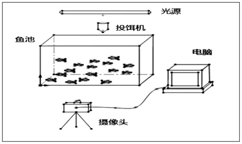 Visual area accurate feeding method