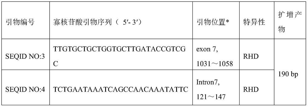 A mutant of rhd blood group antigen rhd-g353a and its detection