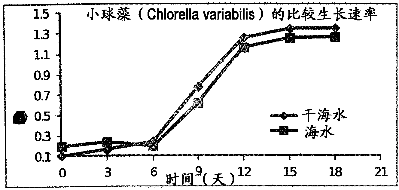 A process for the preparation of natural salt formulations for seawater substitution, mineral fortification