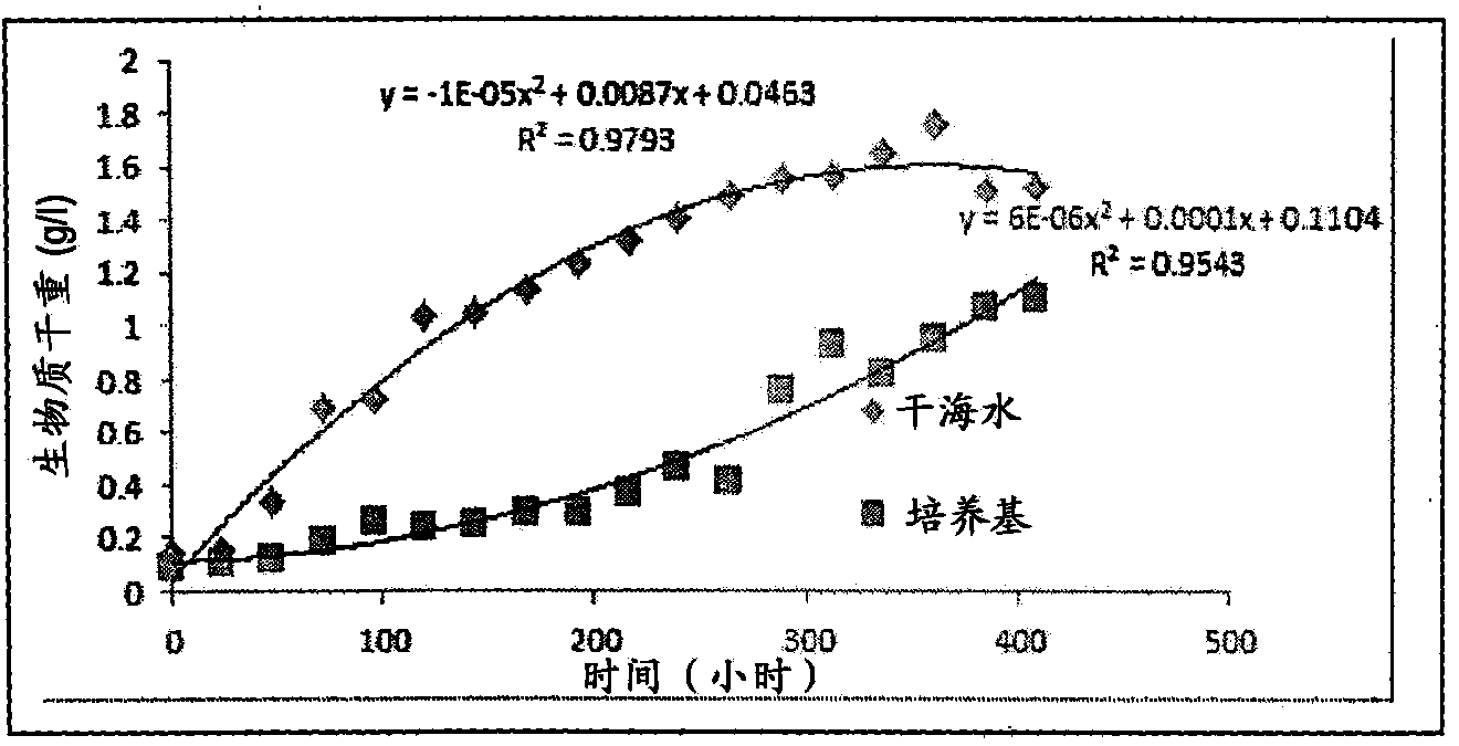 A process for the preparation of natural salt formulations for seawater substitution, mineral fortification