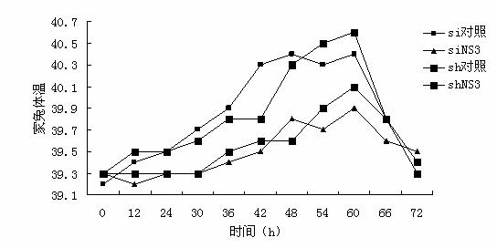Small-interfering RNA (siRNA) capable of inhibiting classical swine fever virus (CSFV) reproduction and infection as well as preparation method and application thereof
