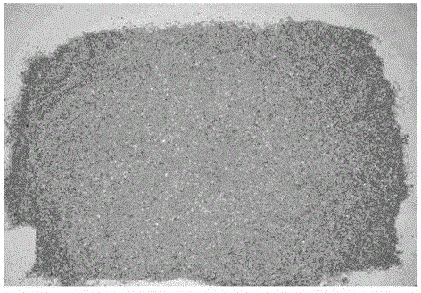 Lees protein feed production method