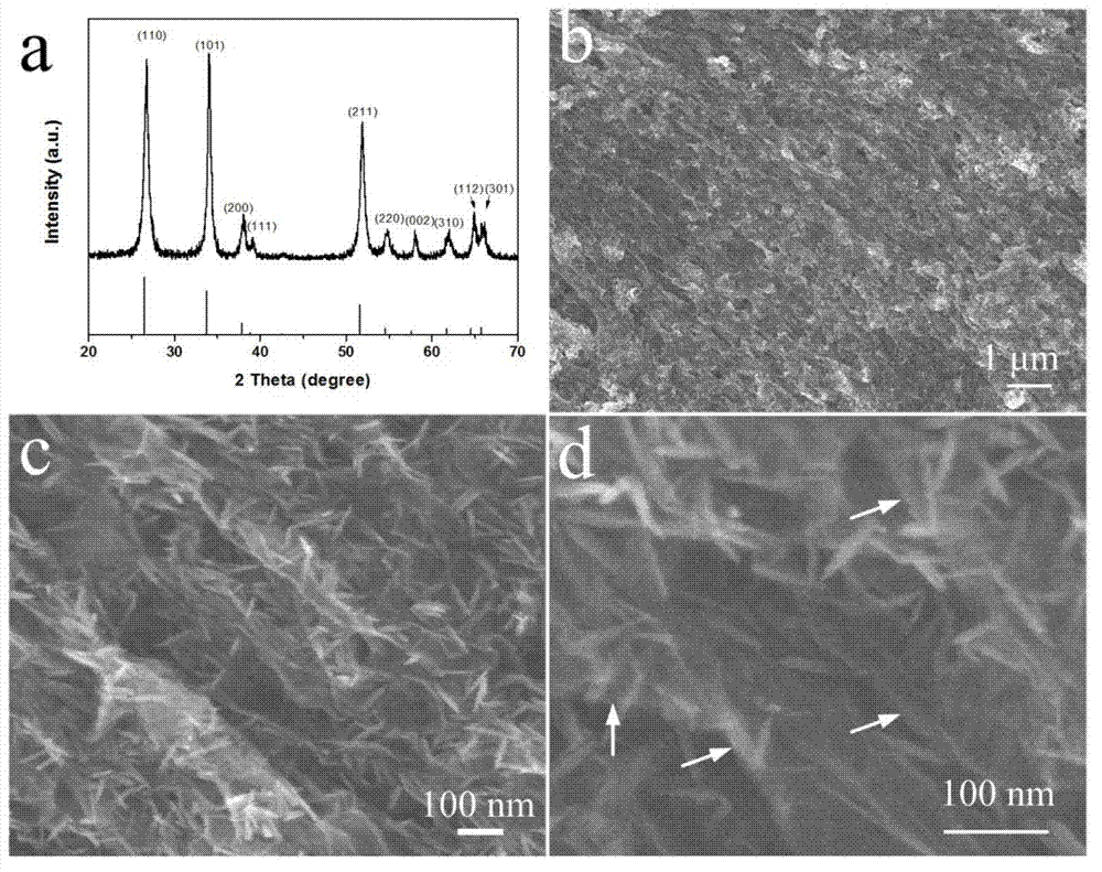 Negative electrode active material for secondary battery, preparation method and secondary battery thereof