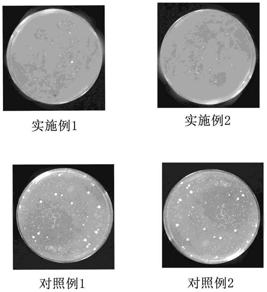 A kind of discoloration agent and discoloration method of wood chemical discoloration induced by copper ion