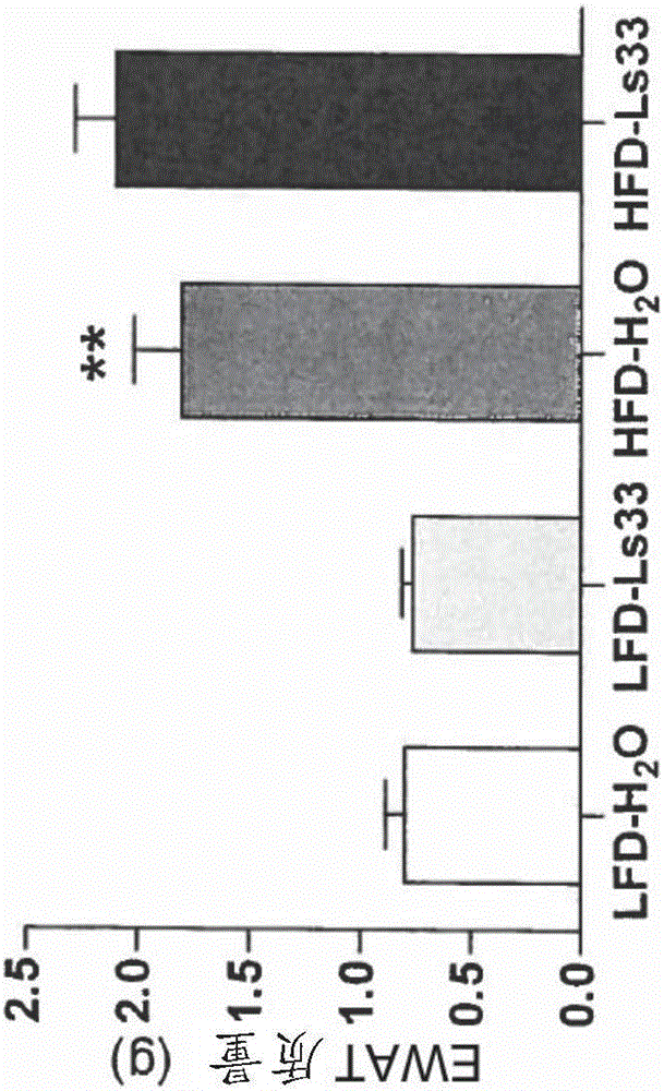 Use of compositions comprising bifidobacterium animalis ssp. lactis LMG P-28149