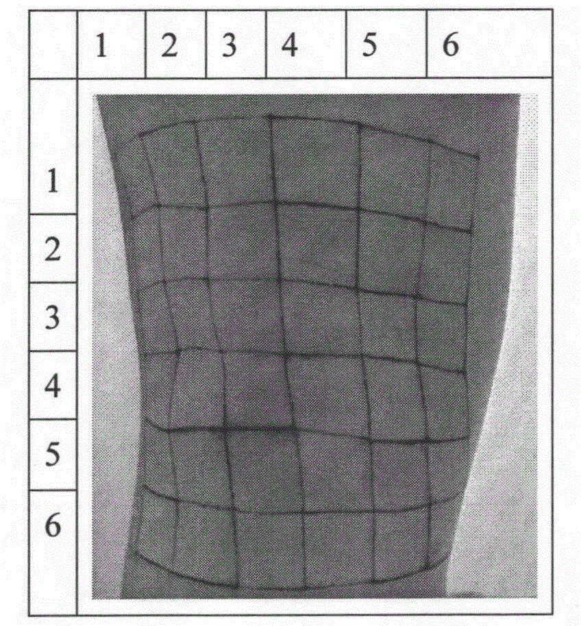 Method for obtaining skin deformation based on gel rubbing and graph pixel technology