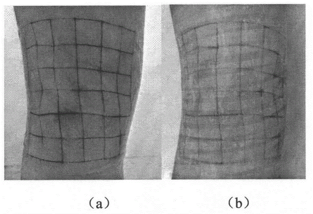 Method for obtaining skin deformation based on gel rubbing and graph pixel technology