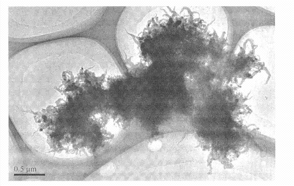 Preparation method of three-dimensional chrysanthemum-shaped poly (3, 4-ethylenedioxythiophene) nanostructural material
