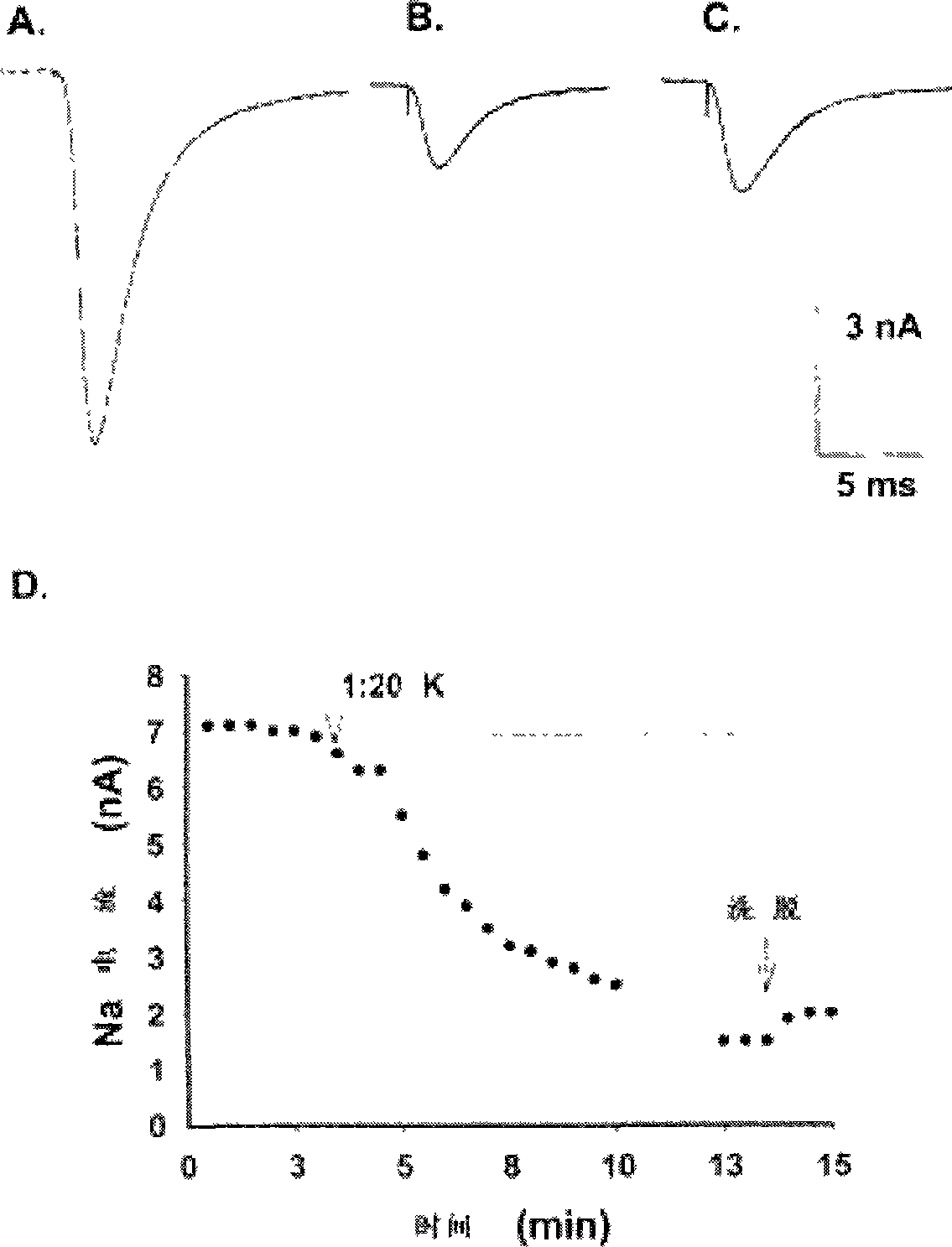 Spikenard volatile oil and use of composition containing spikenard volatile oil in pharmacy