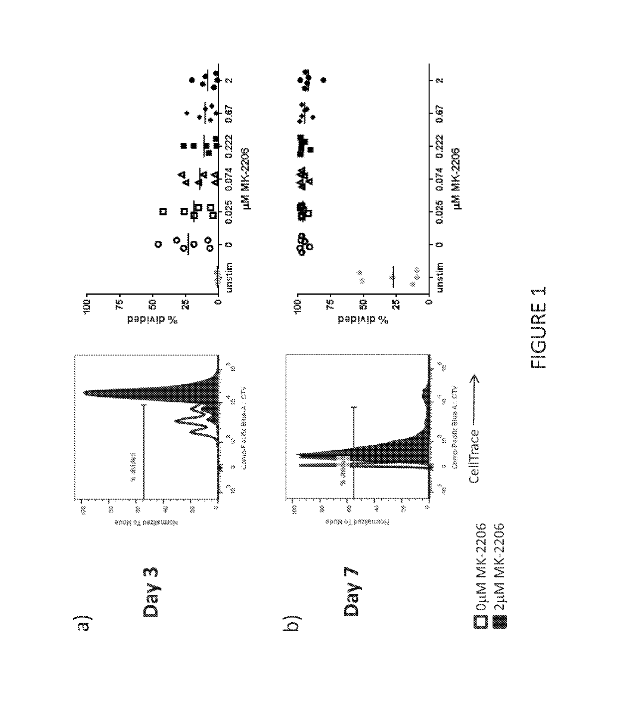 Methods of making T cell compositions