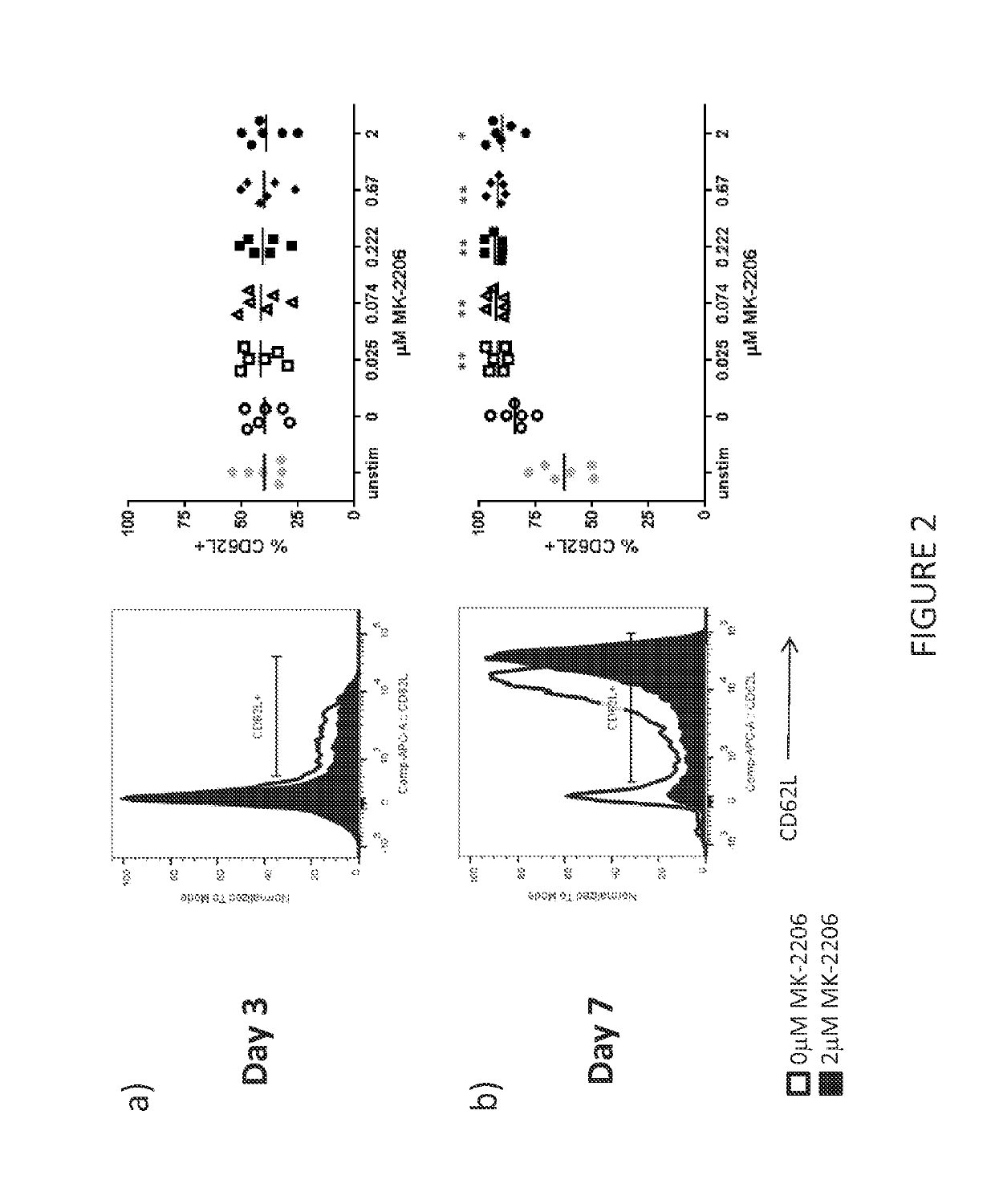 Methods of making T cell compositions