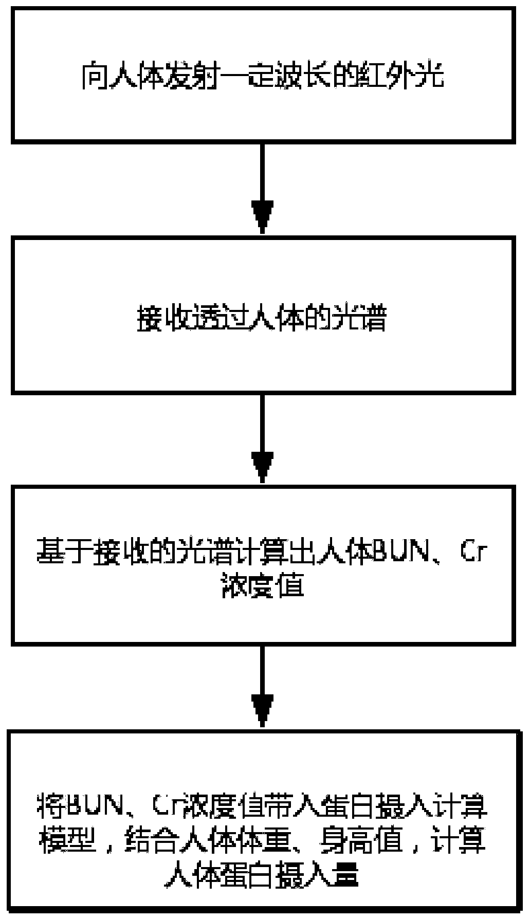 Non-invasive detecting method and detecting device of human body protein intake