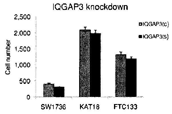 Genetic amplification of iqgap1 in cancer