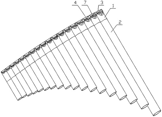 Panpipe with blowing nozzle arranged in chanter