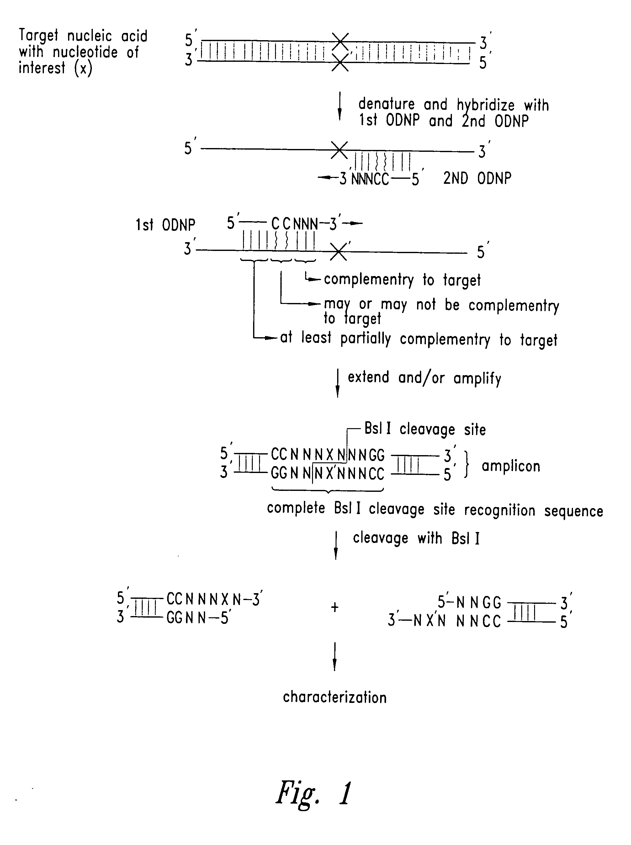 Methods for identifying nucleotides at defined positions in target nucleic acids