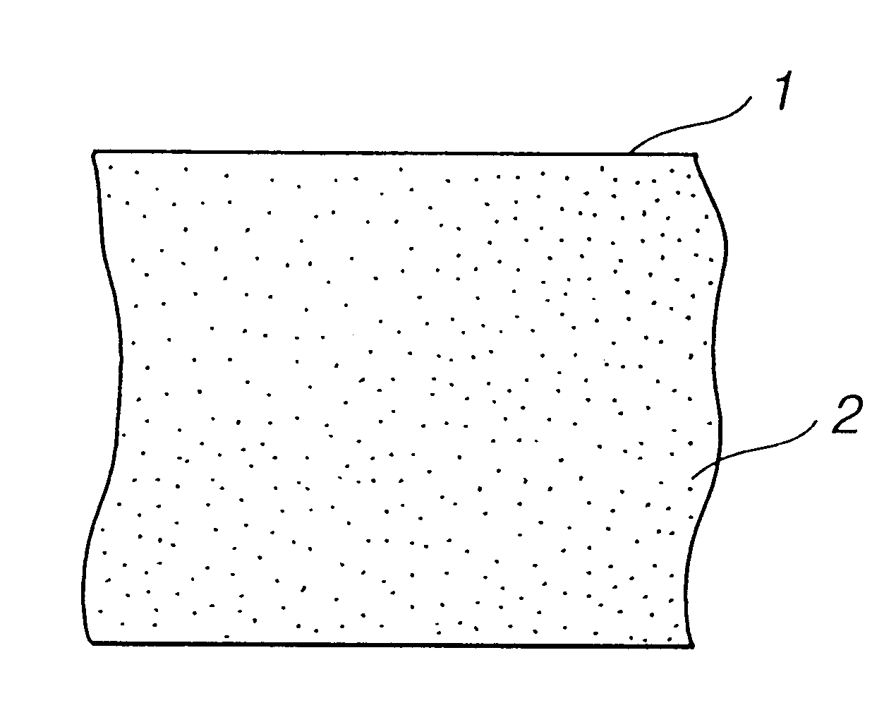 Plastic window panel and process for producing same