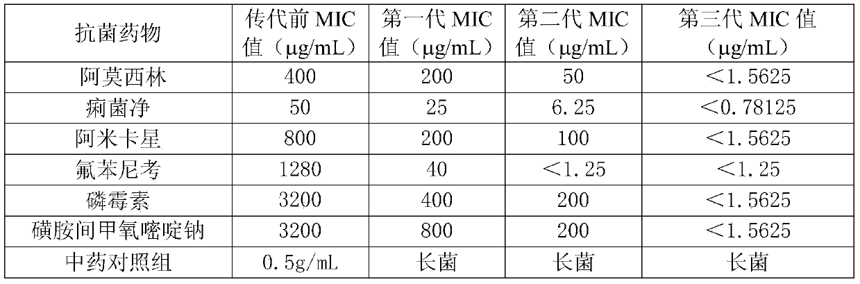Acalypha australis L. and sulfamonomethoxine sodium containing compound medicine for livestock and poultry