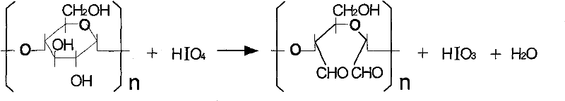 Powdered starch resin aquatic feed adhesive and production method thereof