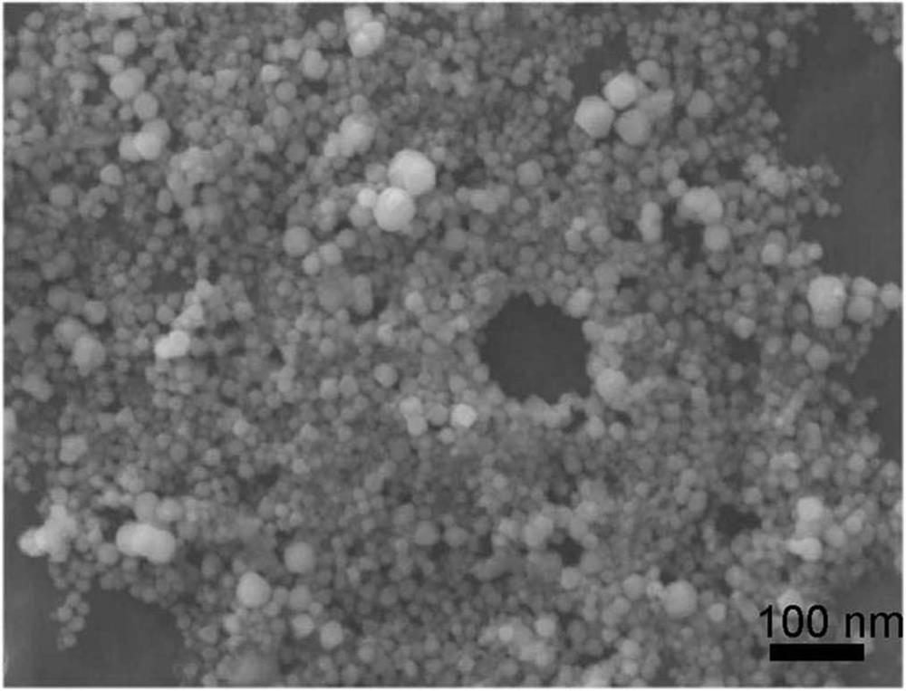 Preparation method of rosin-based thermal polymerization anti-corrosion film doped with cobaltous oxide nanoparticles with high pitting potential