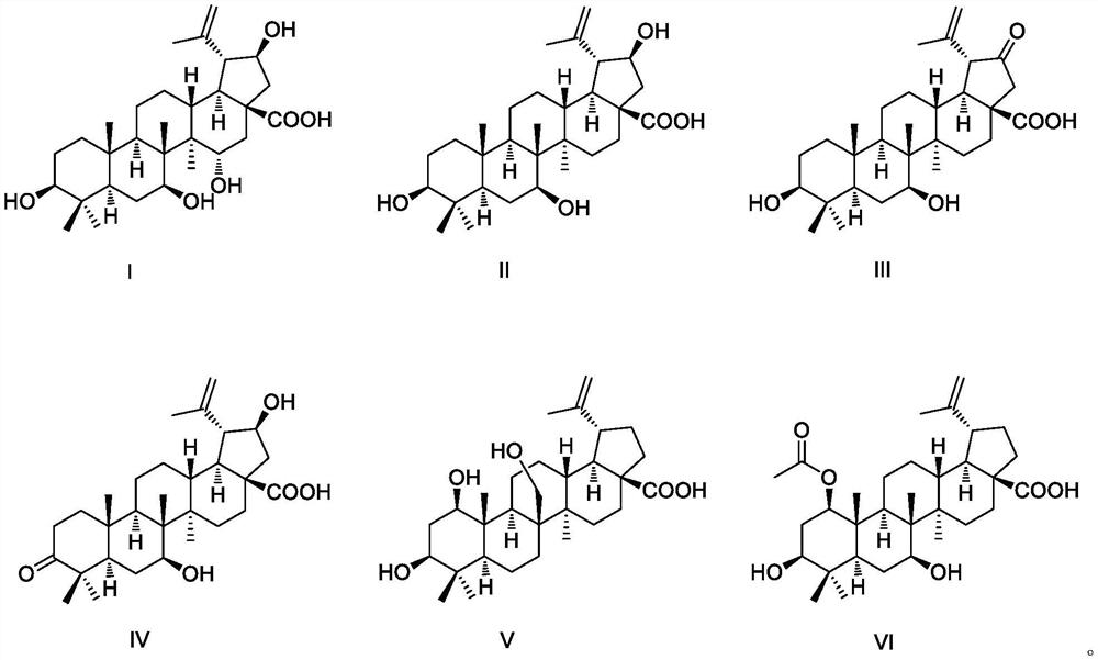 Application of betulinic acid derivative in preparation of antitumor drugs