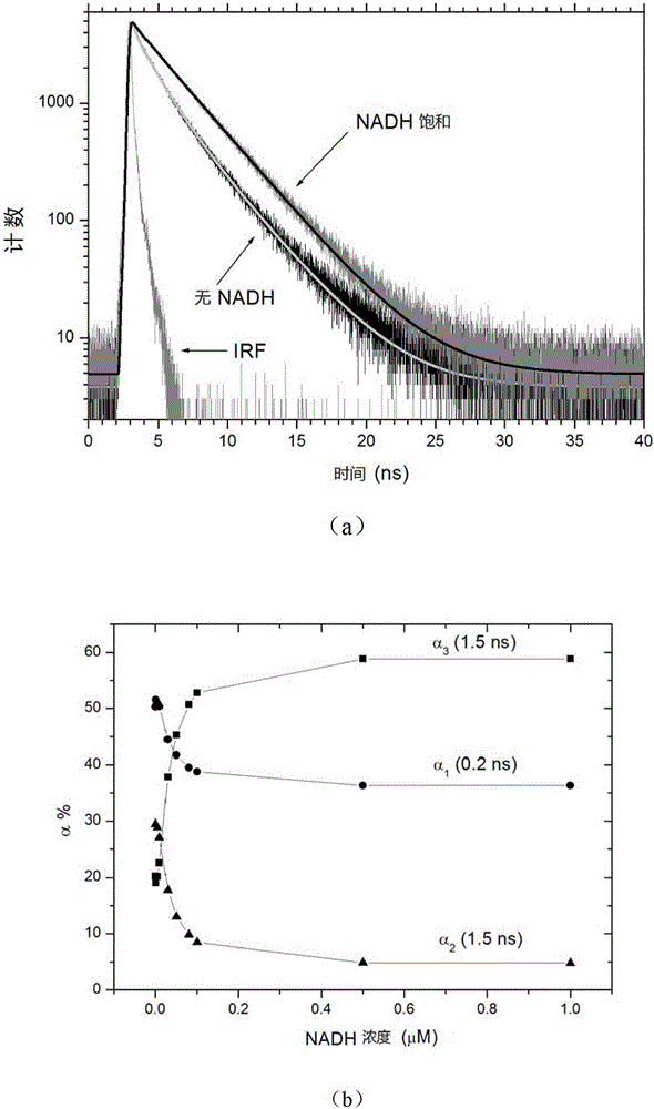 Ratiometric detection methods in fluorescent probes