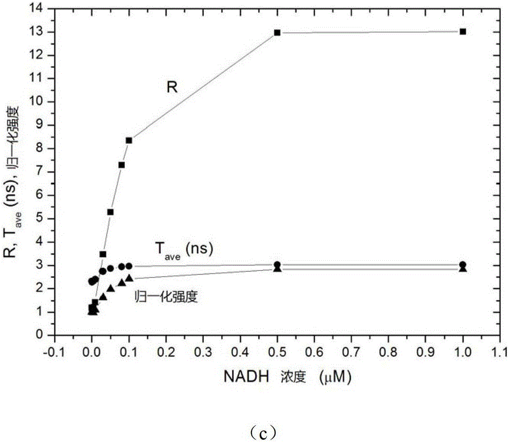 Ratiometric detection methods in fluorescent probes