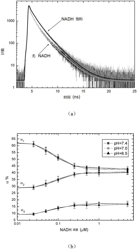 Ratiometric detection methods in fluorescent probes