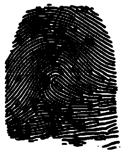 Fingerprint identification method and device