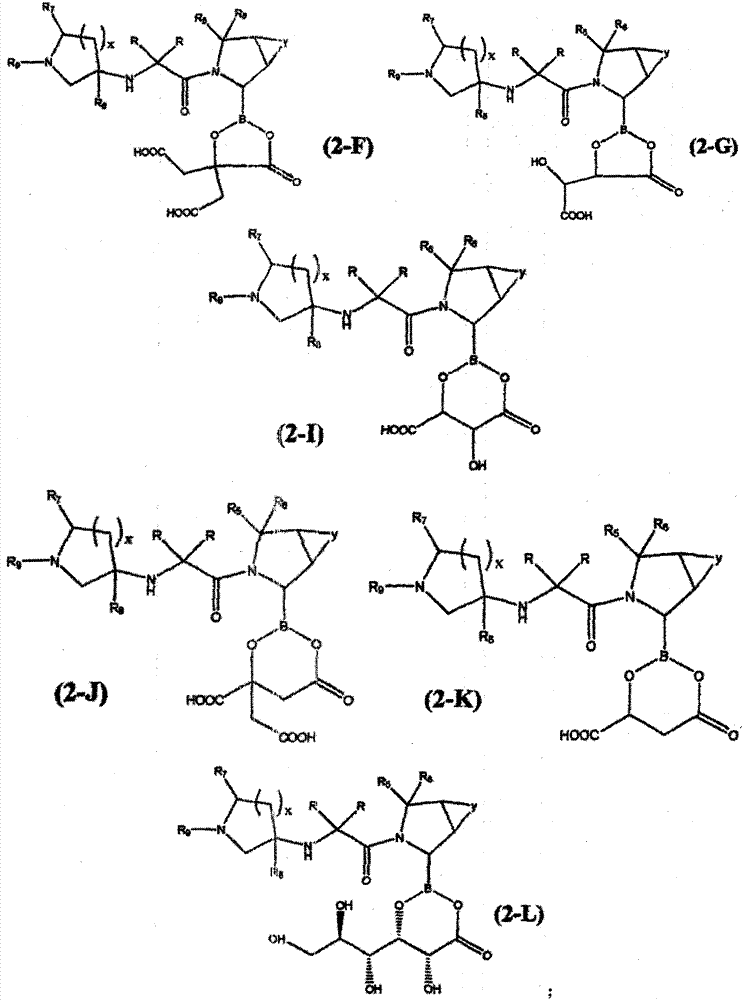 Pyrrolidine borate dipeptidyl peptidase inhibitor and pharmaceutical composition thereof