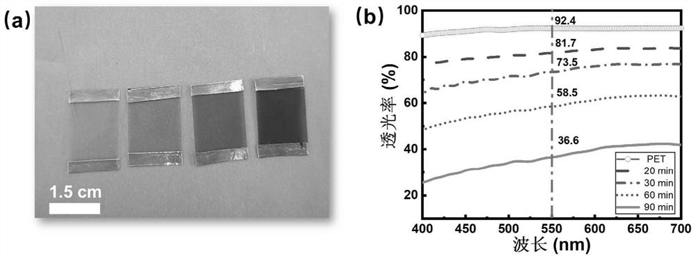 Single-walled carbon nanotube transparent electrothermal film and preparation method thereof