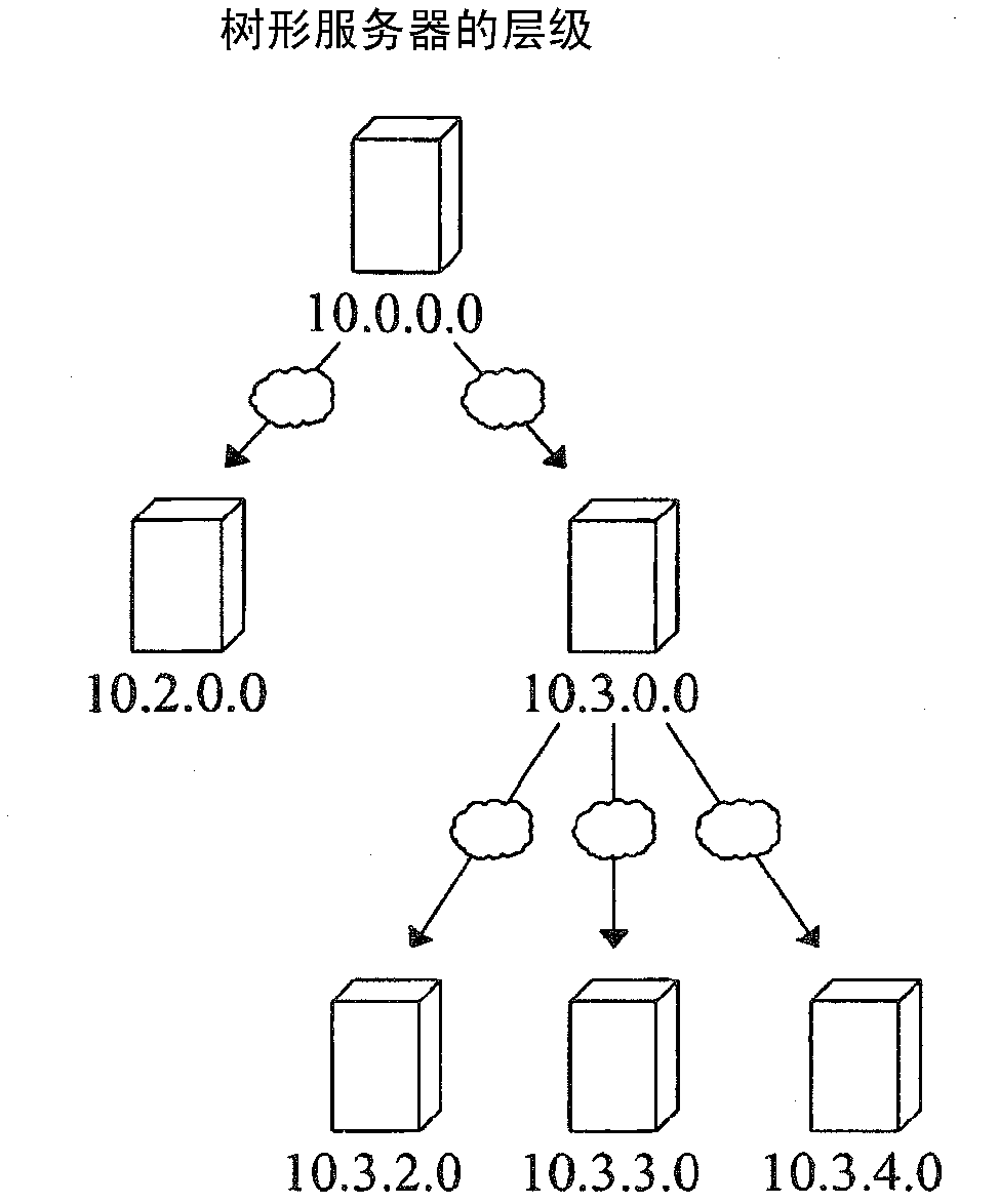 Address assignment in the network