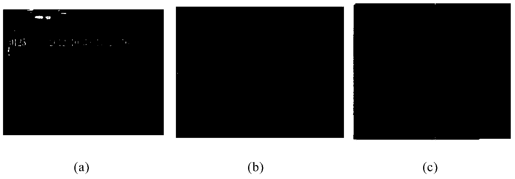 Image character positioning method and device