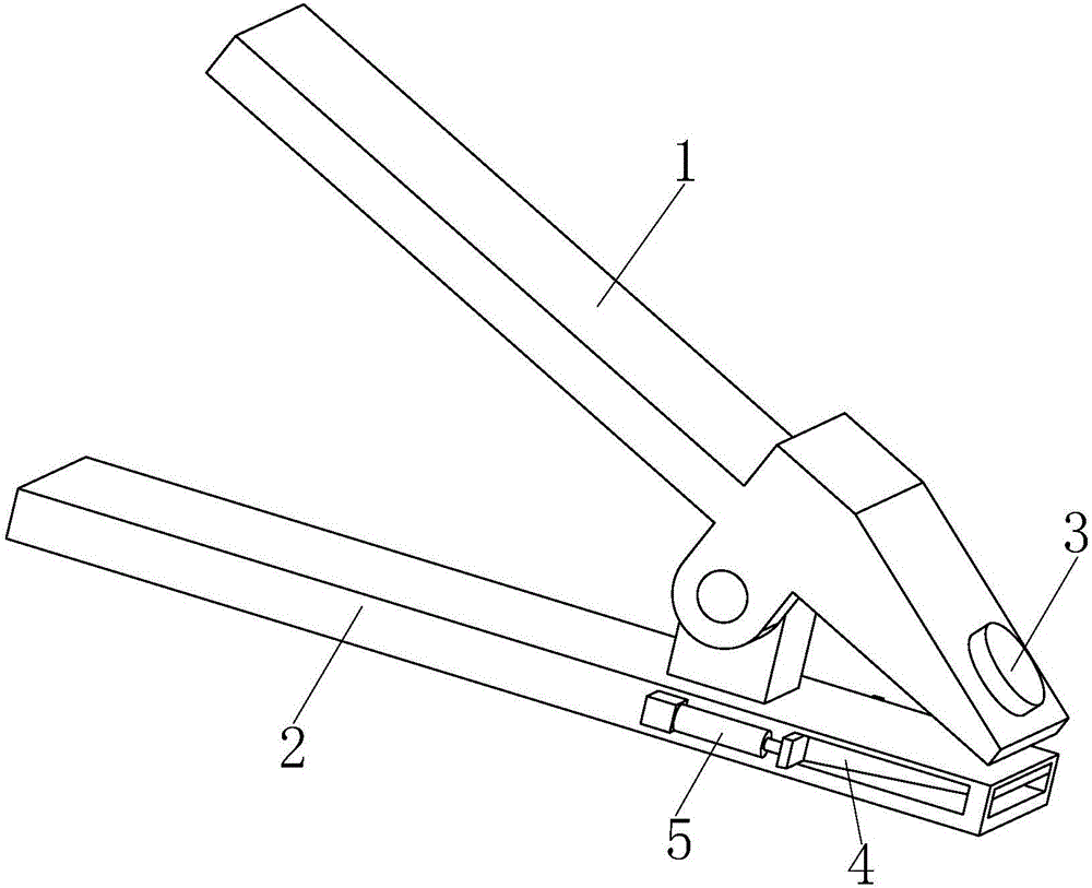 Auxiliary pig mouth cavity cleaning device