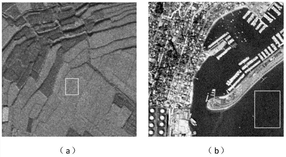 SAR (Synthetic Aperture Radar) image spot-inhibiting method based on spare domain noise distribution constraint