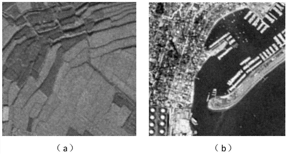 SAR (Synthetic Aperture Radar) image spot-inhibiting method based on spare domain noise distribution constraint