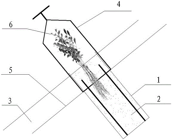 A shrub planting method and seedling protection cover for slope protection