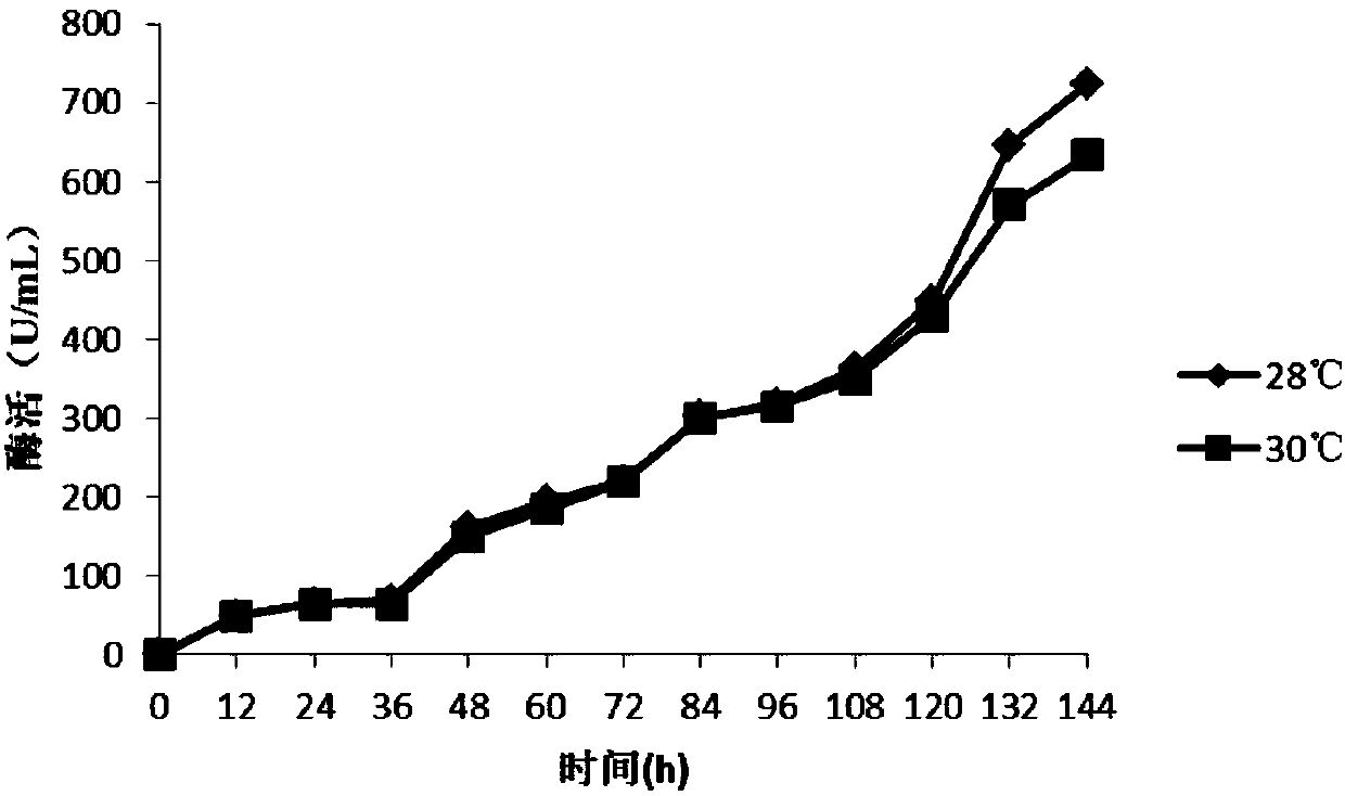 High density fermentation method of glucose oxidase in pichia pastoris