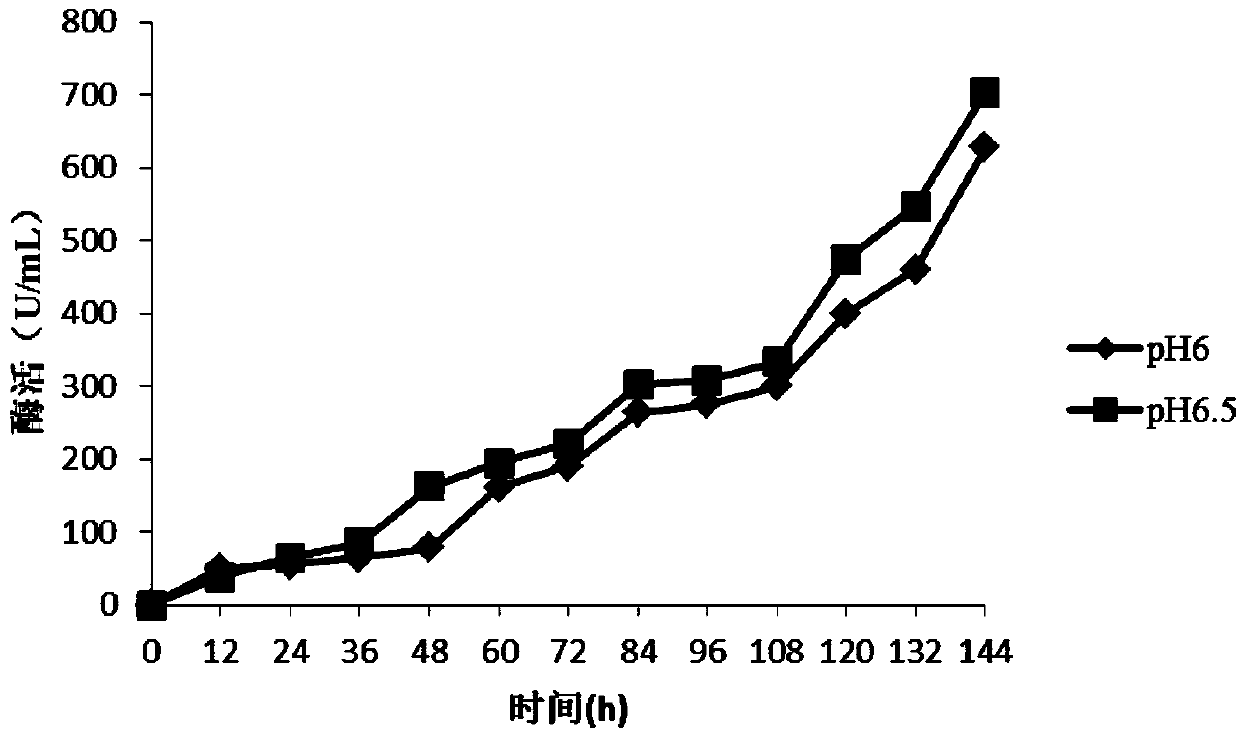 High density fermentation method of glucose oxidase in pichia pastoris