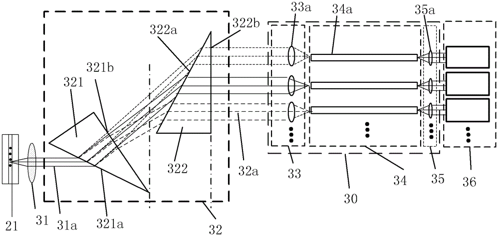 Fluorescence detection system and cell analyzer