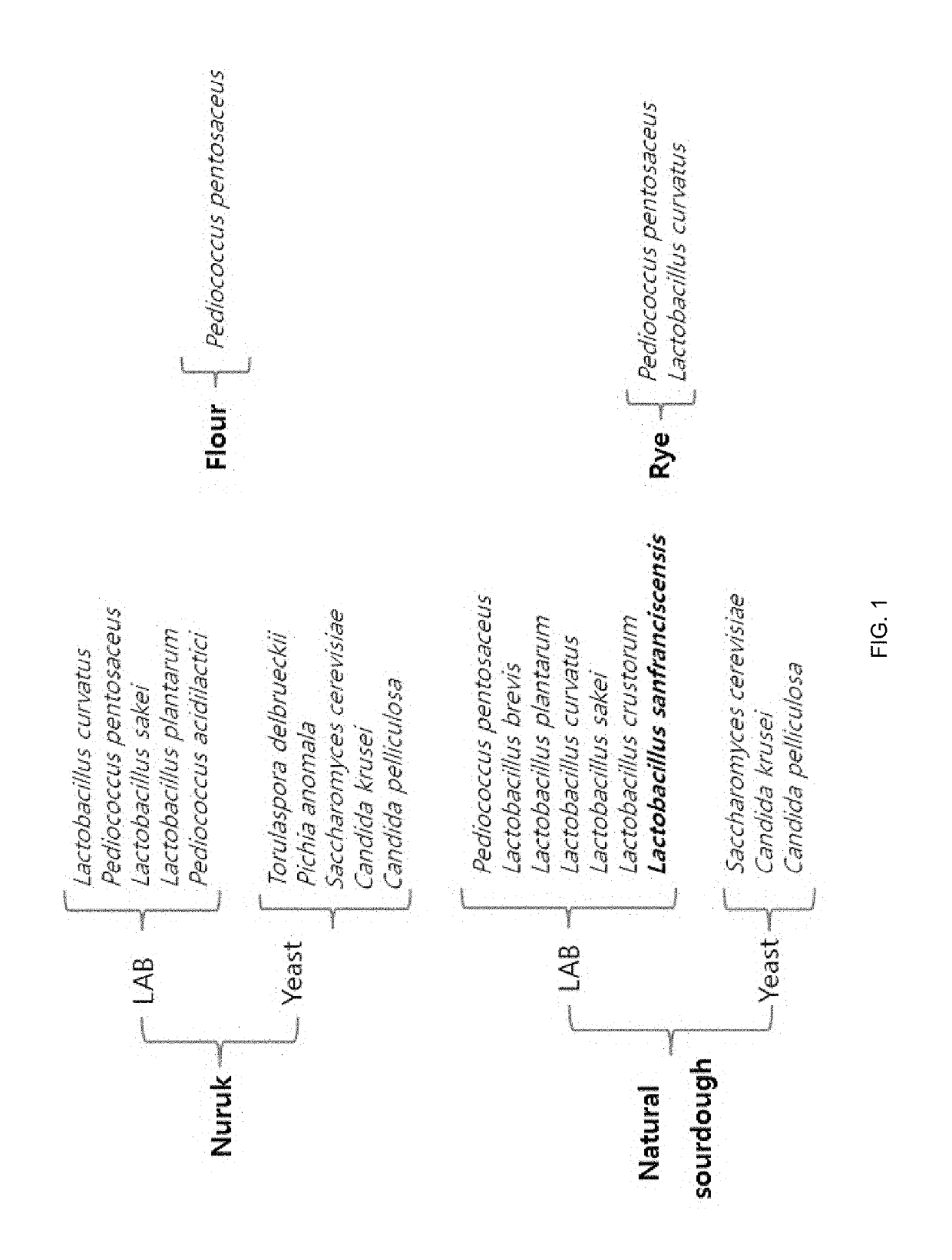 Natural lactic acid bacteria isolated from Korean traditional Nuruk to be used for bakery