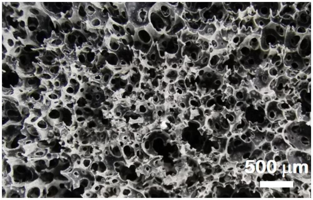 Foam geopolymer adsorbing material as well as preparation method and application thereof