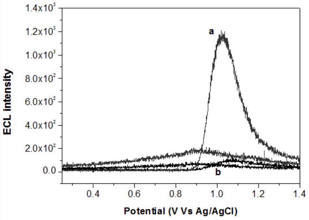 Method for constructing ruthenium terpyridyl electrochemiluminescence sensor with graphene porous material