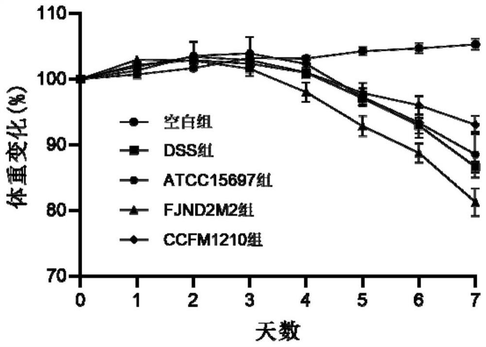 Bifidobacterium longum subsp.infantis for relieving colitis and application thereof