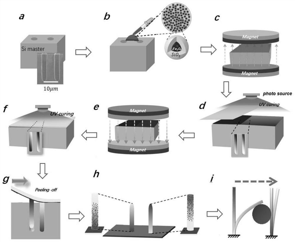 Preparation and use of micron-scale magnetic tweezers