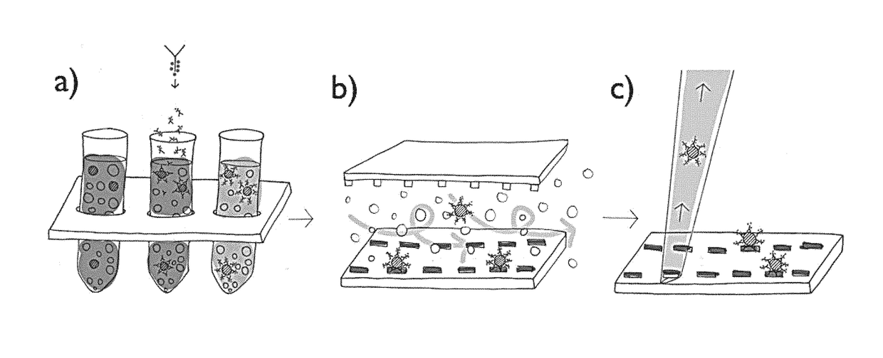 Immobilization of cells or virus particles on protein structures using a microfluidic chamber