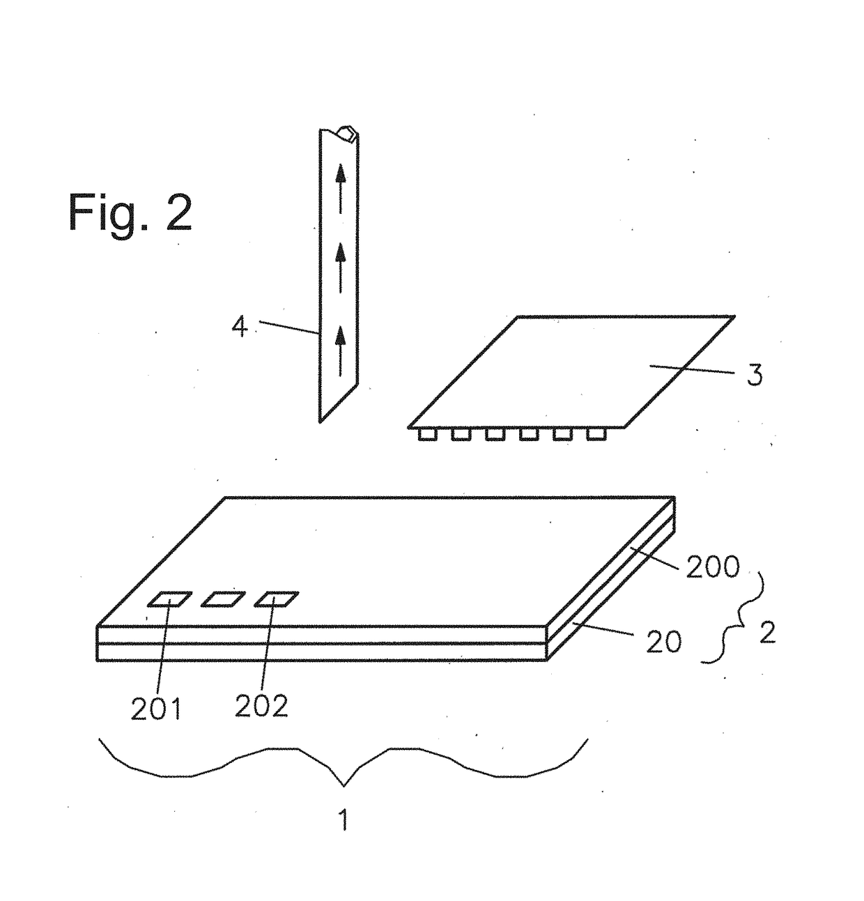 Immobilization of cells or virus particles on protein structures using a microfluidic chamber