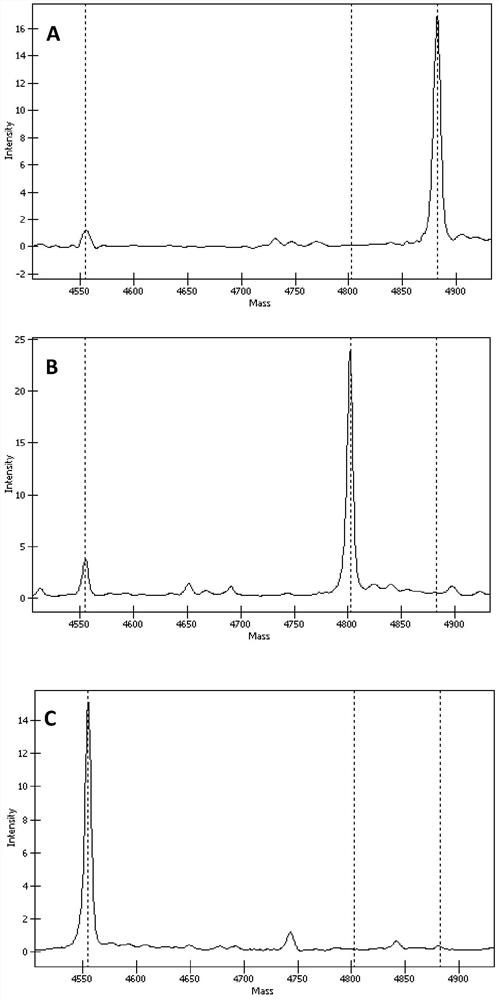 A kit for detecting the mutation site of susceptibility gene for granular corneal dystrophy