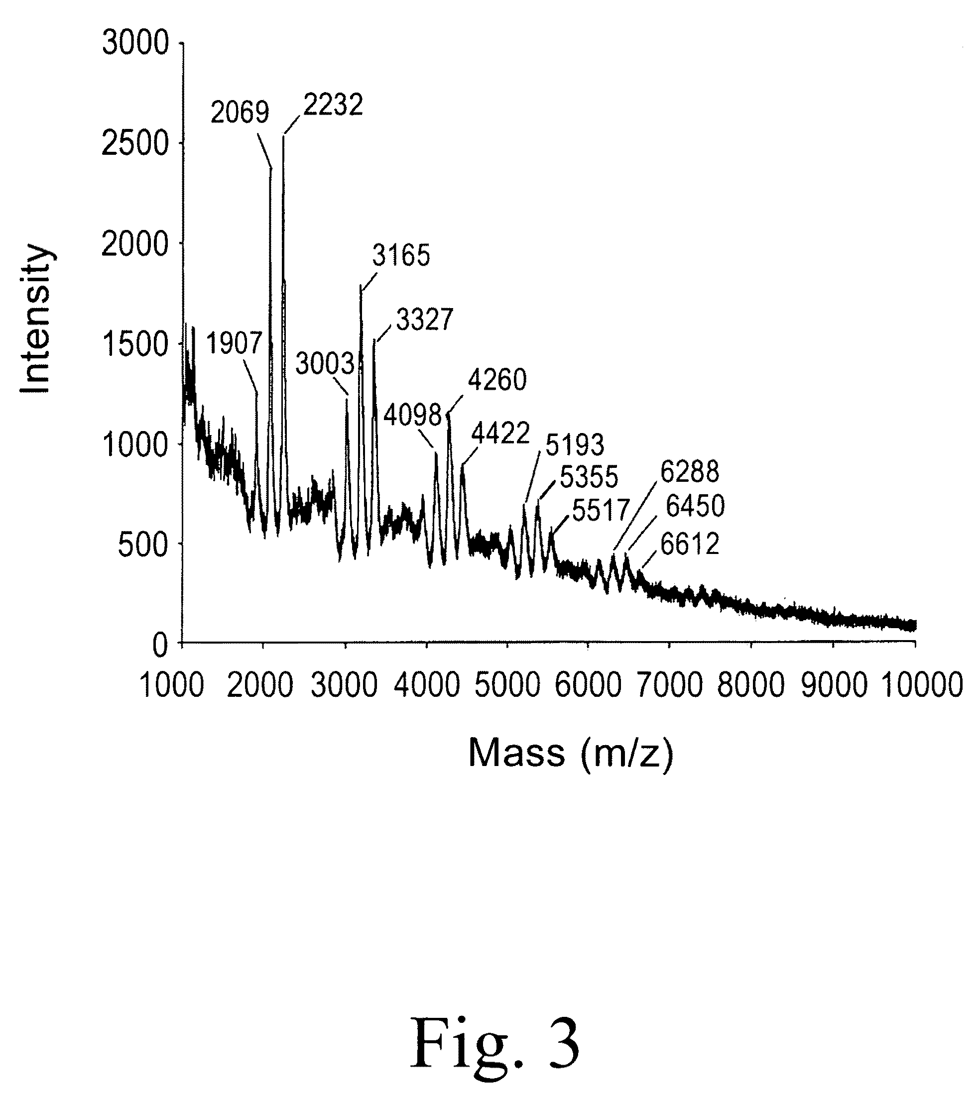 Anthrax carbohydrates, synthesis and uses thereof